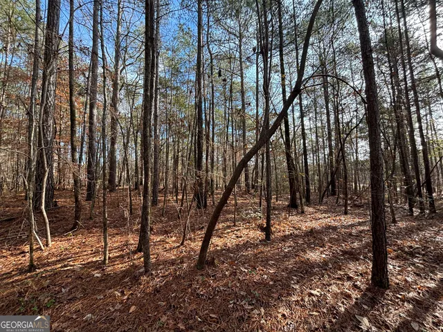 $110,000 | 2910 Hwy 212 Covington Ga 30016, Covington, GA 30016