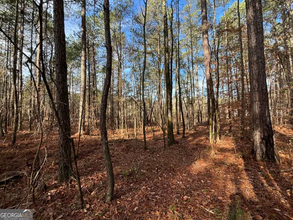 a view of outdoor space with lots of trees