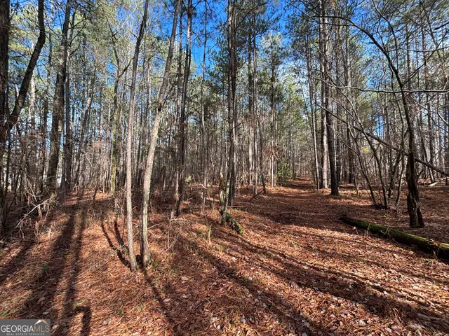 $110,000 | 2910 Hwy 212 Covington Ga 30016, Covington, GA 30016