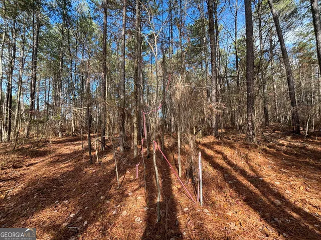 $110,000 | 2910 Hwy 212 Covington Ga 30016, Covington, GA 30016