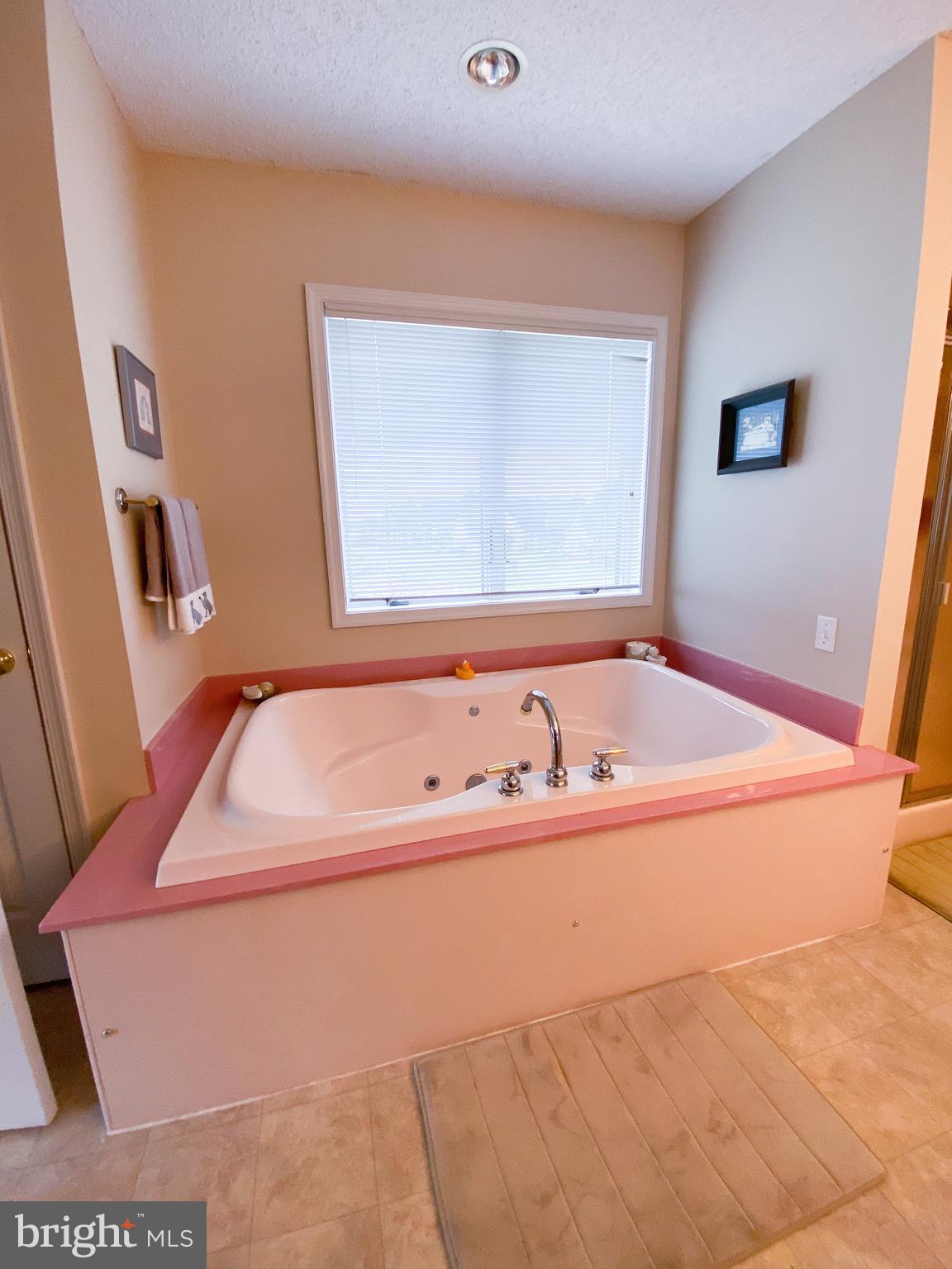 23566 Keen Road Deal Island, MD 21821 - Photo 66 of 100