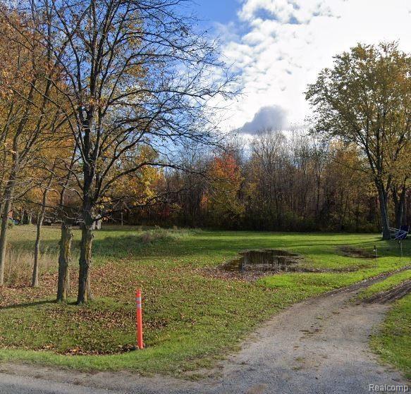 57.5-acres McCaughna Road Byron, MI 48418 - Photo 2 of 2