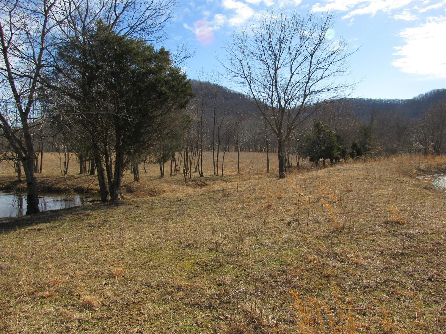 1210 Red Lick Road Berea, KY 40403 - Photo 8 of 15 Photo 8
