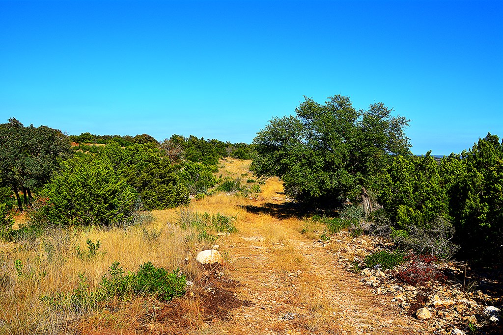 Tbd Tbd Other Leakey, TX 78873 - Photo 35 of 59
