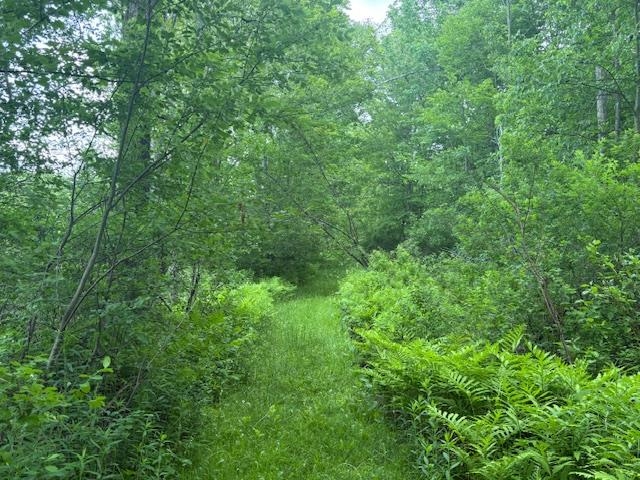 5518 Highway 12 Barnard, VT 05091 - Photo 12 of 14