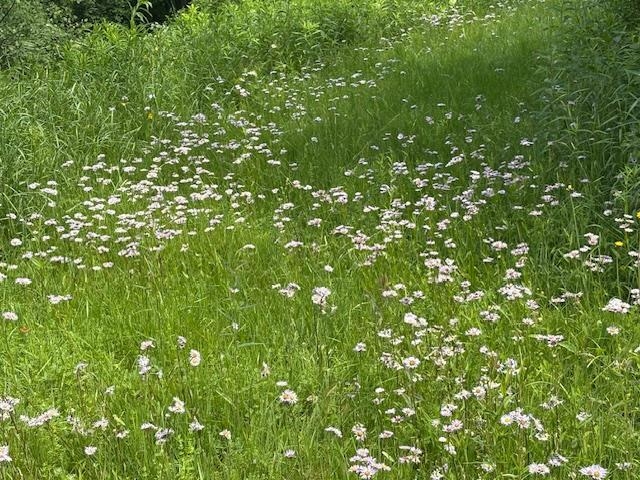 5518 Highway 12 Barnard, VT 05091 - Photo 3 of 14