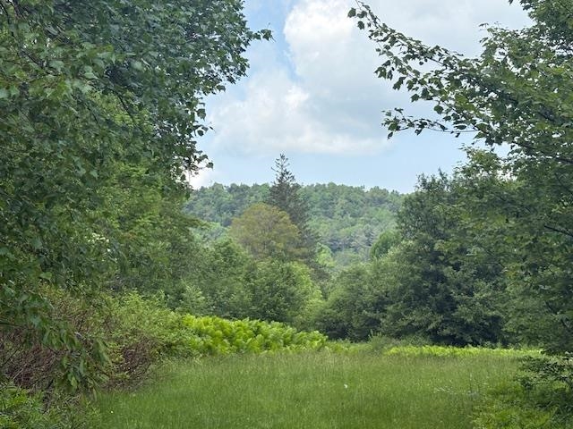 5518 Highway 12 Barnard, VT 05091 - Photo 4 of 14