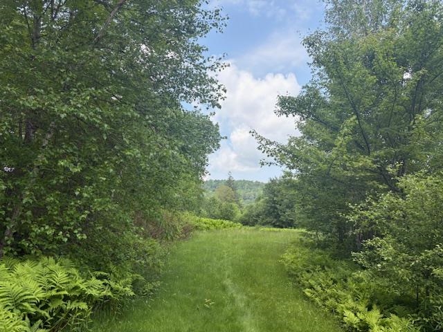 5518 Highway 12 Barnard, VT 05091 - Photo 5 of 14