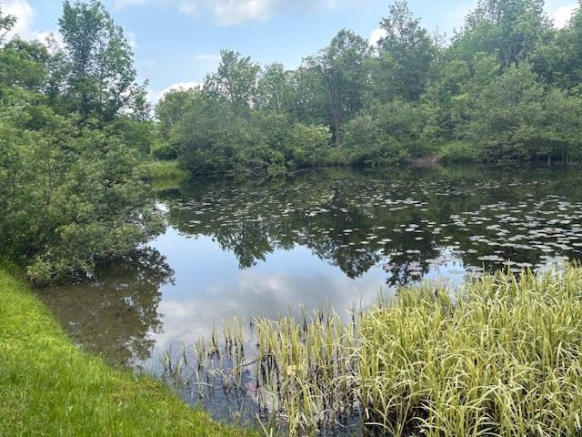 5518 Highway 12 Barnard, VT 05091 - Photo 6 of 14