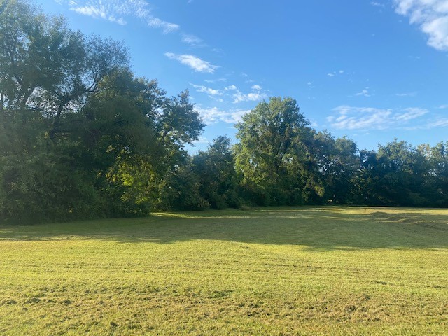0 Deason Road Dickson, TN 37055 - Photo 11 of 20 Gallery Image 11