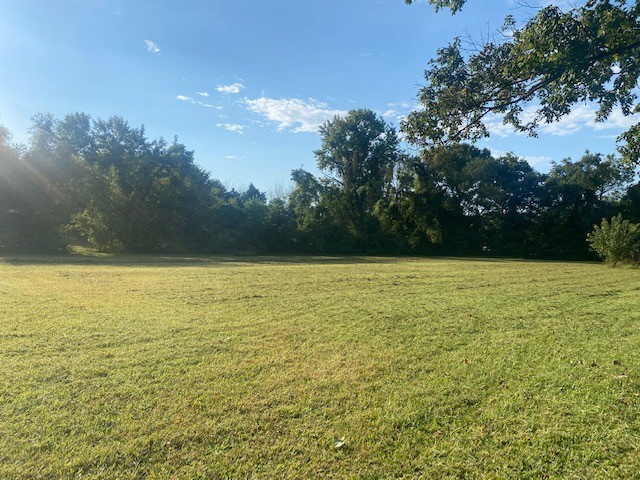 0 Deason Road Dickson, TN 37055 - Photo 19 of 20 Gallery Image 19