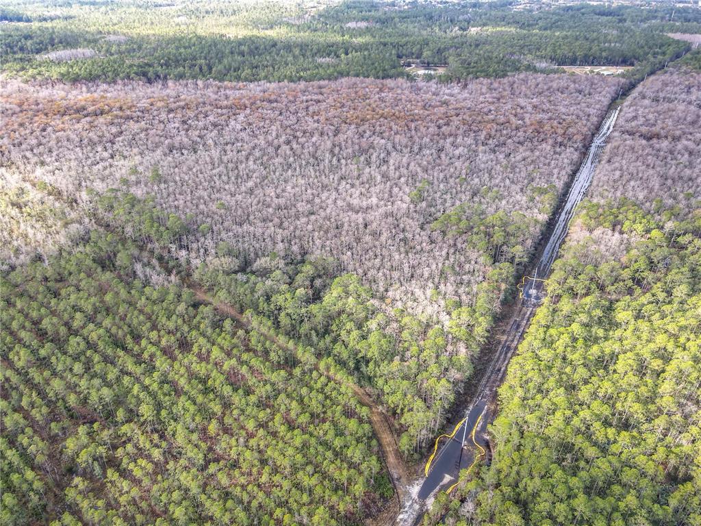 2459 Old Train Road Deltona, FL 32738 - Photo 19 of 21 Gallery Image 19