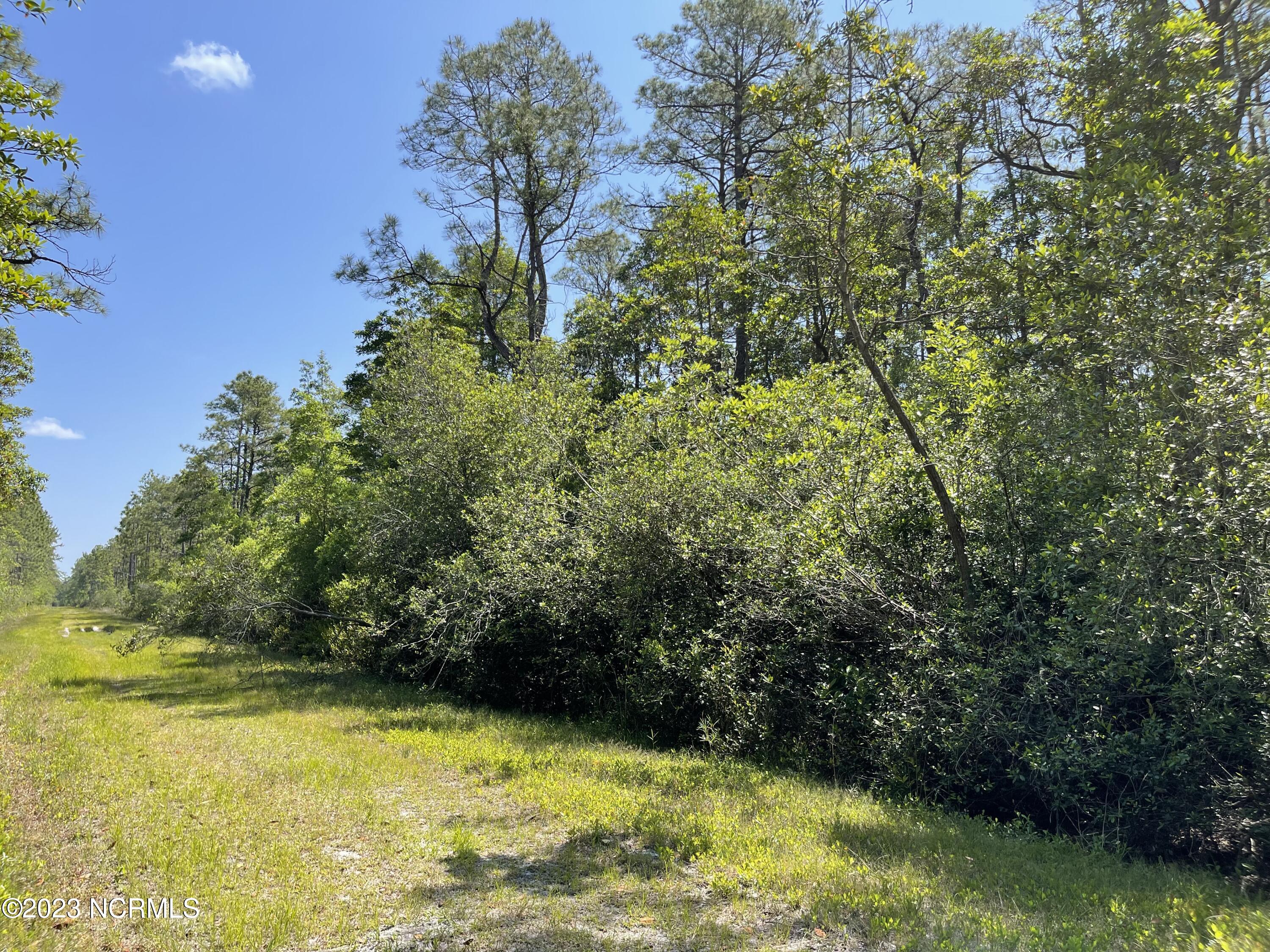 182 Robin Road Southport, NC 28461 - Photo 6 of 6 IMG_3277
