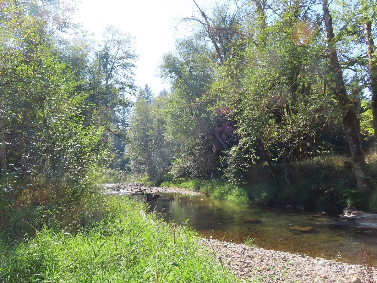 -xxx Stub Road Onalaska, WA 98570 - Photo 11 of 19 a view of lake