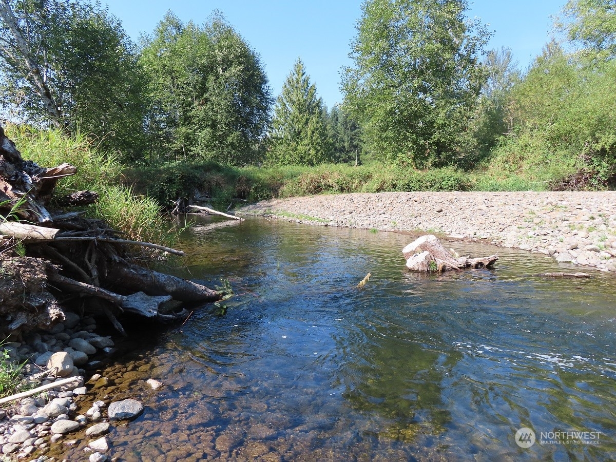 -xxx Stub Road Onalaska, WA 98570 - Photo 12 of 19 a view of a lake with large trees