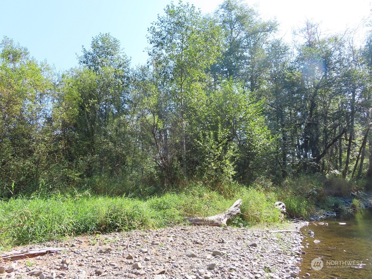 -xxx Stub Road Onalaska, WA 98570 - Photo 15 of 19 a view of outdoor space and yard