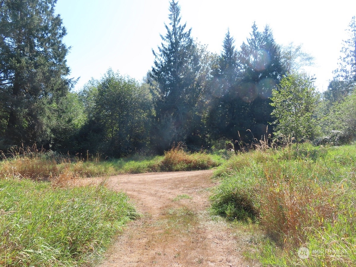 -xxx Stub Road Onalaska, WA 98570 - Photo 17 of 19 a view of backyard
