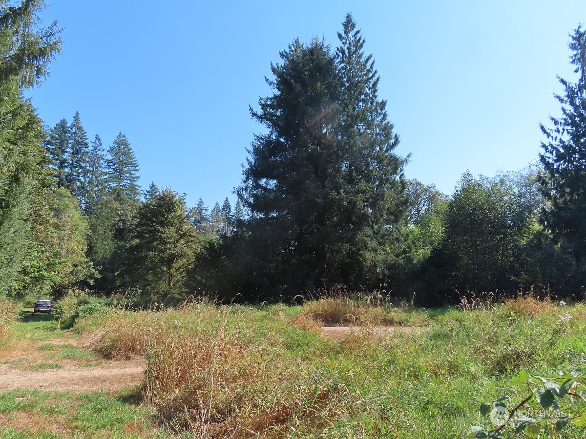 -xxx Stub Road Onalaska, WA 98570 - Photo 18 of 19 a view of outdoor space and yard