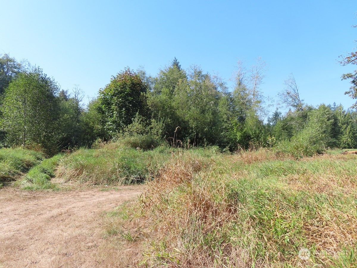 -xxx Stub Road Onalaska, WA 98570 - Photo 19 of 19 a view of a yard with a tree
