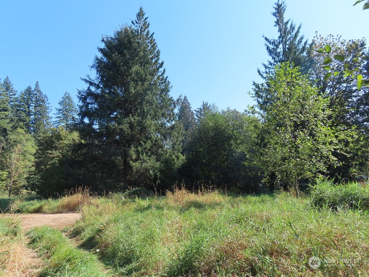 -xxx Stub Road Onalaska, WA 98570 - Photo 2 of 19 a view of outdoor space and yard