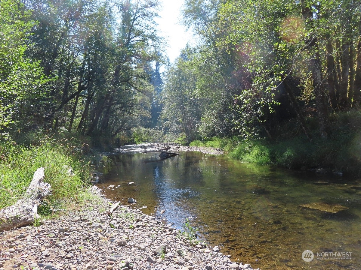 -xxx Stub Road Onalaska, WA 98570 - Photo 3 of 19 a view of a lake in between two of trees
