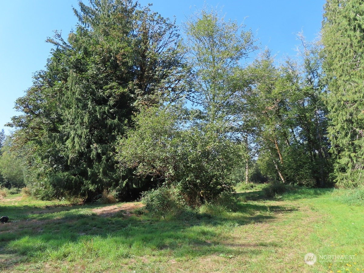 -xxx Stub Road Onalaska, WA 98570 - Photo 4 of 19 a view of outdoor space and yard