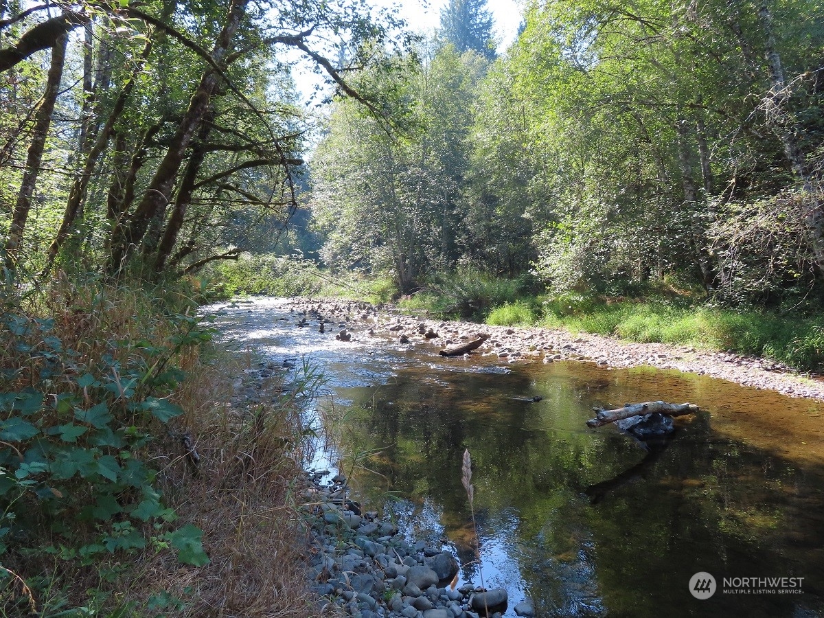 -xxx Stub Road Onalaska, WA 98570 - Photo 7 of 19 a view of lake with green space