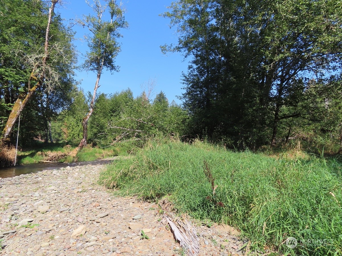 -xxx Stub Road Onalaska, WA 98570 - Photo 9 of 19 a view of a yard with plants and a tree