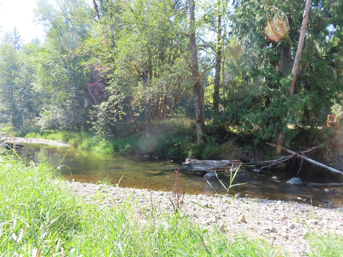-xxx Stub Road Onalaska, WA 98570 - Photo 10 of 19 a view of swimming pool with a yard and lake view