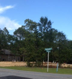 682 Hunters Ridge Road DeFuniak Springs, FL 32433 - Photo 3 of 8 Lot 45 Under Construction