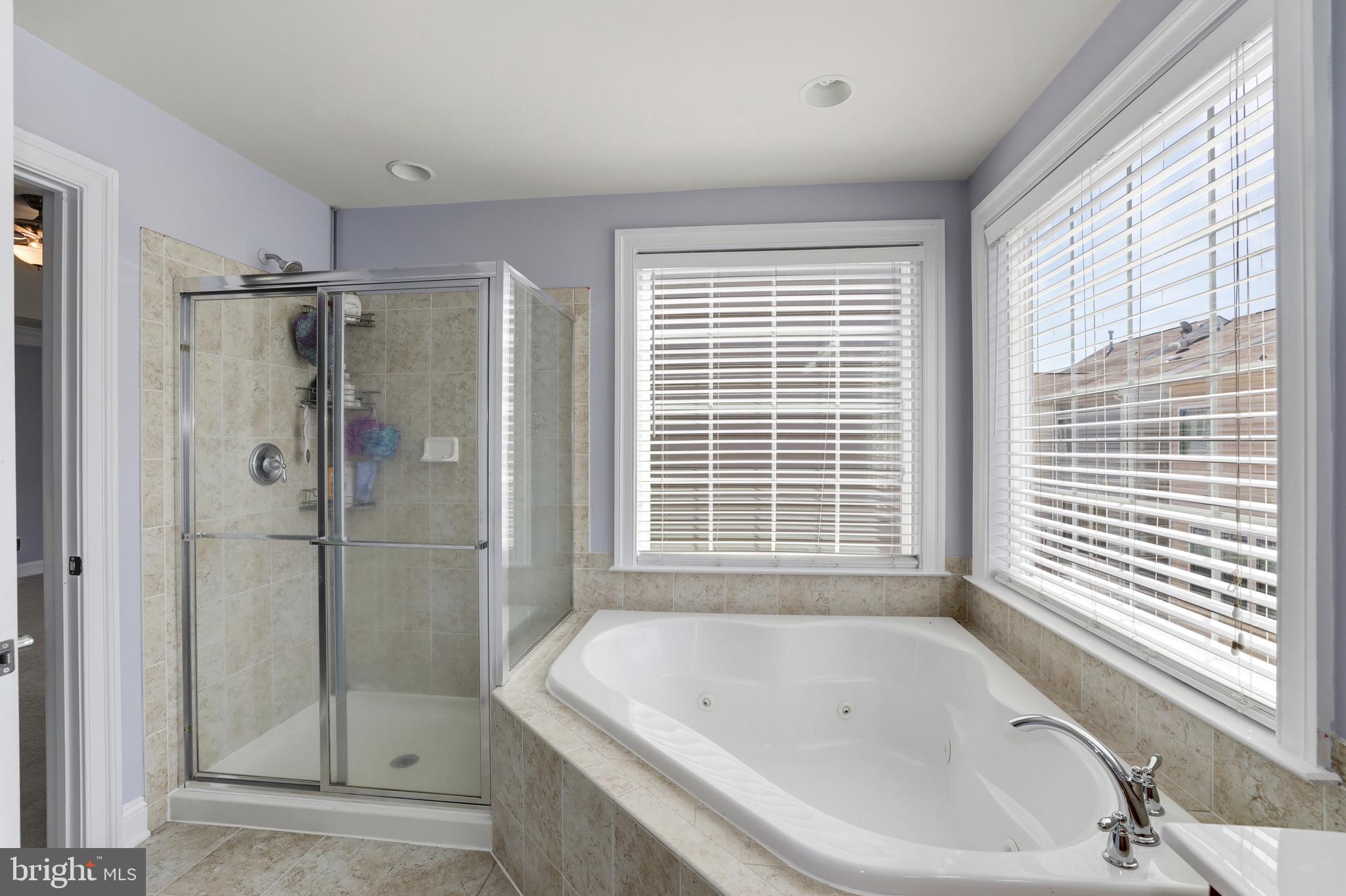 43583 White Cap Terrace Chantilly, VA 20152 - Photo 8 of 18 a bathroom with a bathtub and shower