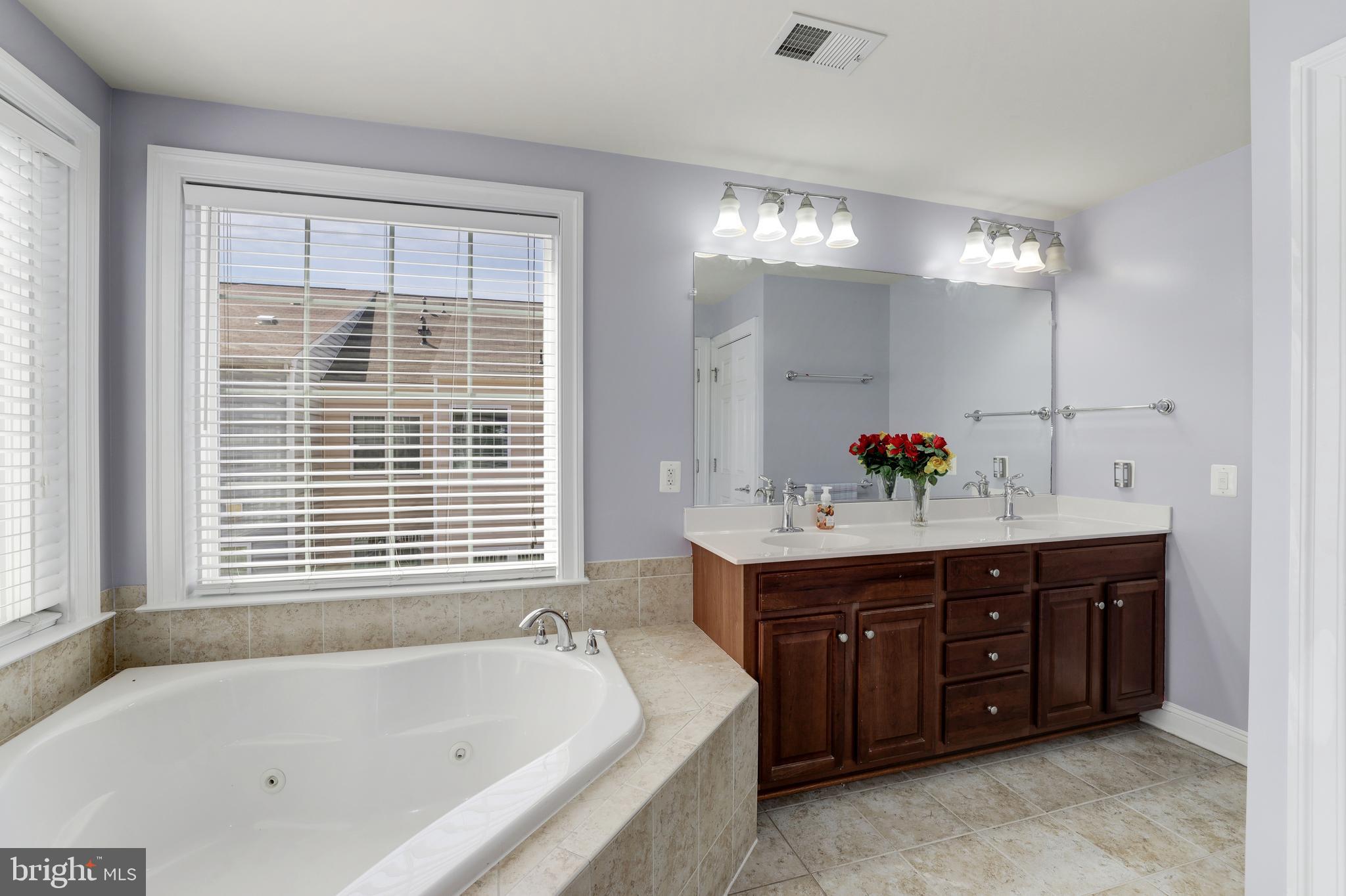 43583 White Cap Terrace Chantilly, VA 20152 - Photo 9 of 18 a bathroom with a tub sink and mirror