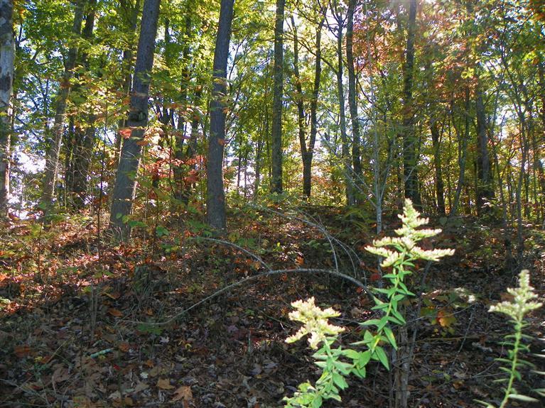 1 Knob Hill Road Somerset, KY 42501 - Photo 5 of 6 Additional Photo