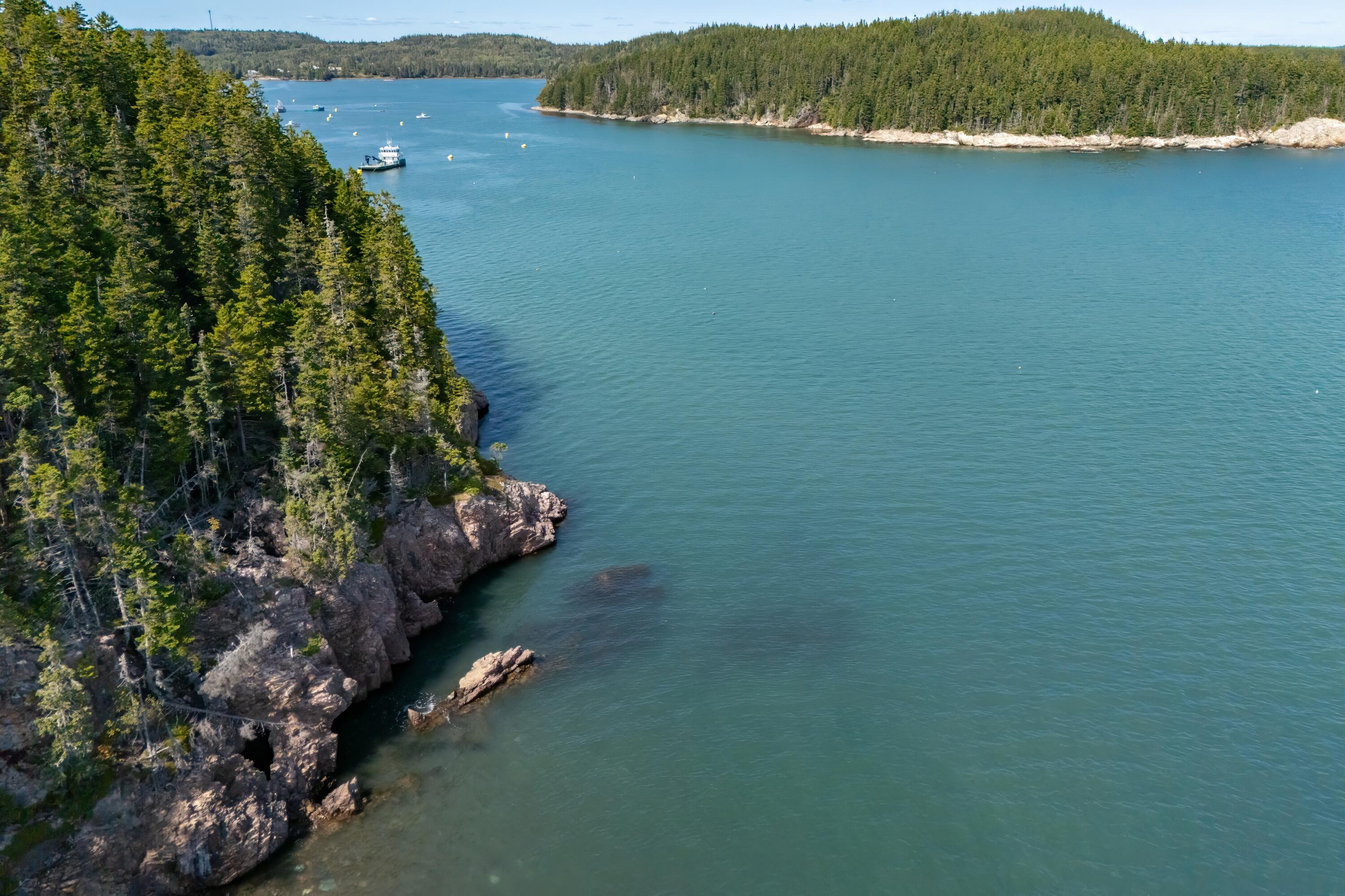Lot 16 Pettegrow Point Road Machiasport, ME 04655 - Photo 22 of 31 33-Pettegrow Point Road Land-DTP