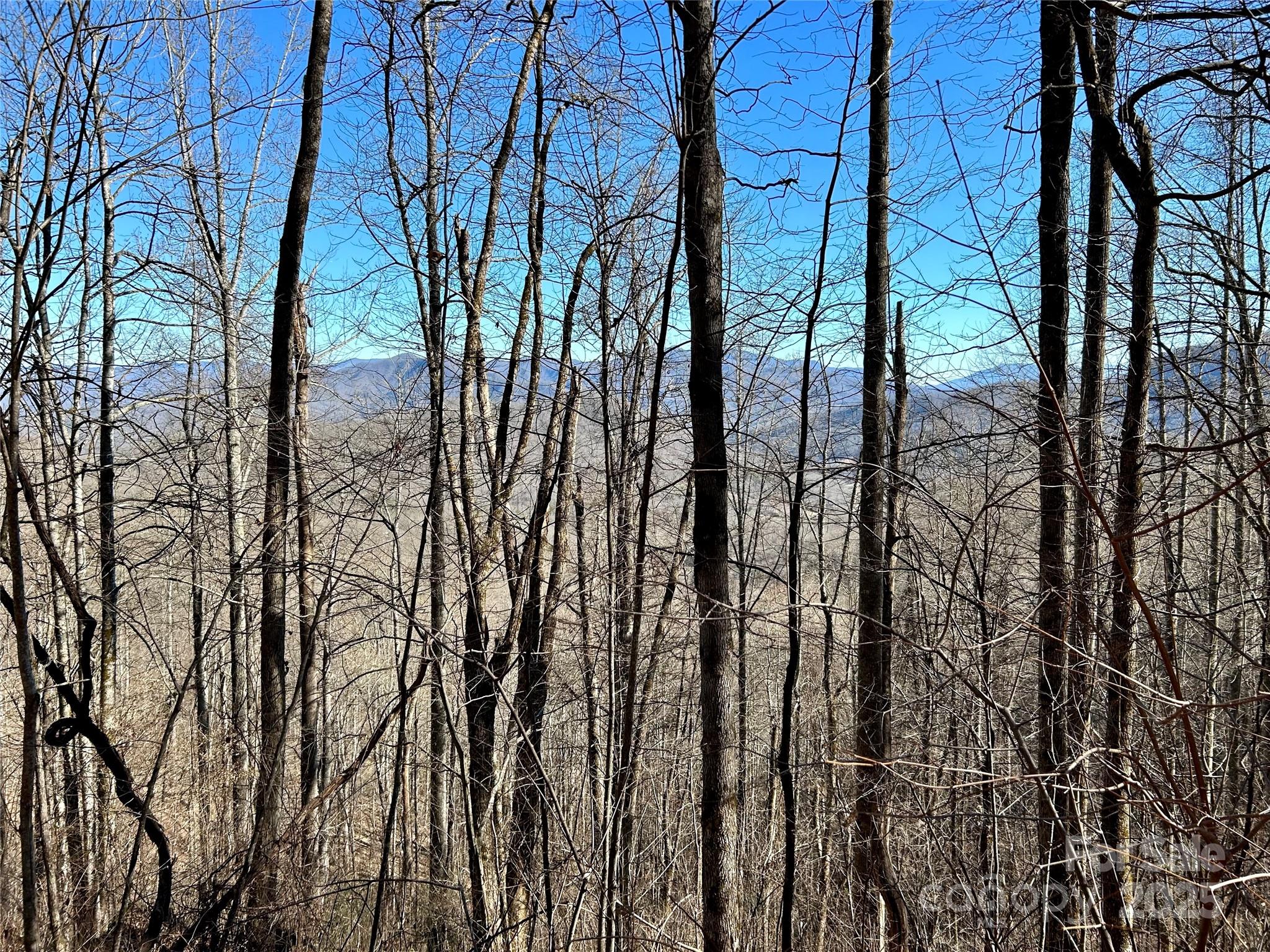 0 Maltese Way, Unit 25 Whittier, NC 28789 - Photo 2 of 3