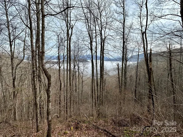 $23,000 | 0 Maltese Way, Unit 25, Whittier, NC 28789