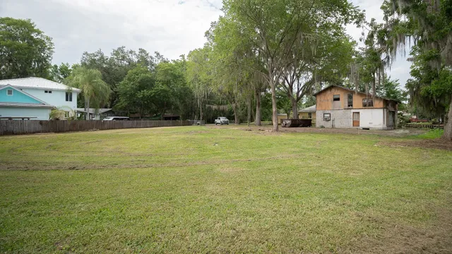 a view of a large trees with a big yard and large trees