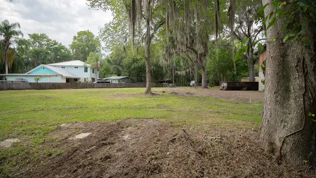 a large tree in the middle of a yard