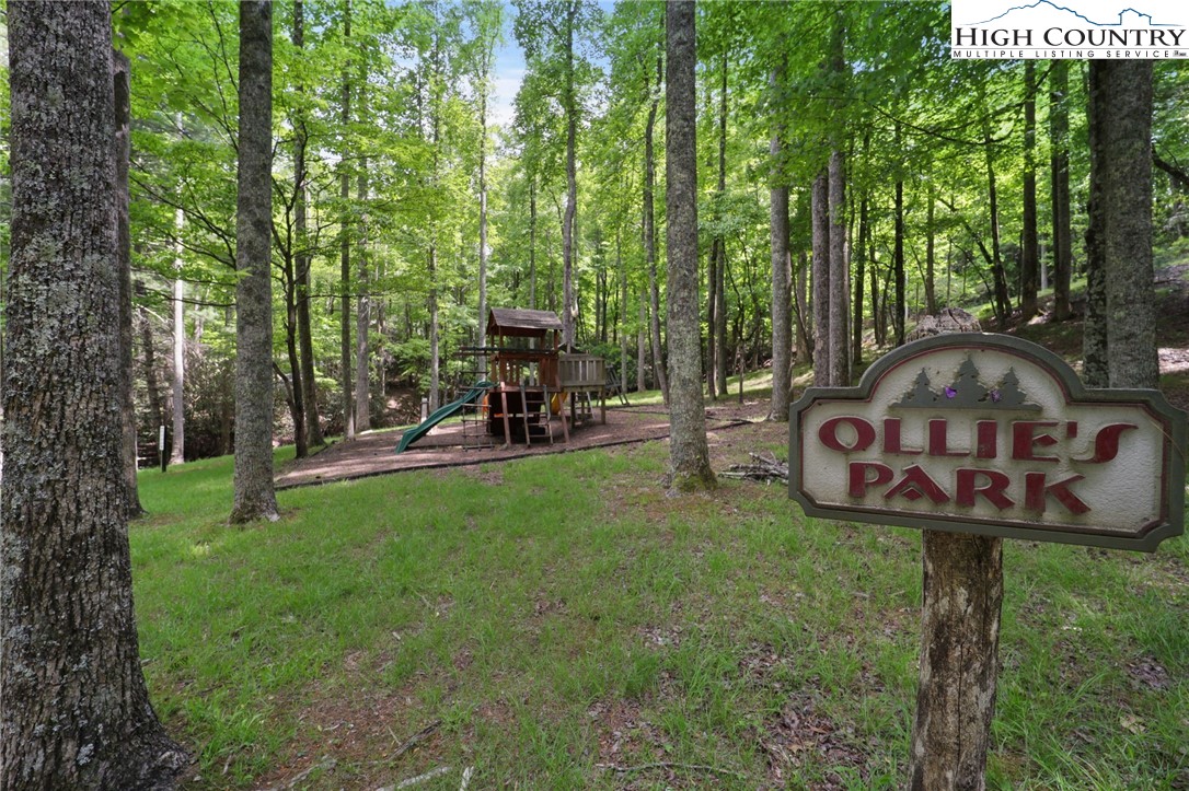 272 Horseshoe Ridge Road East Deep Gap, NC 28618 - Photo 47 of 49 Gallery Image 47