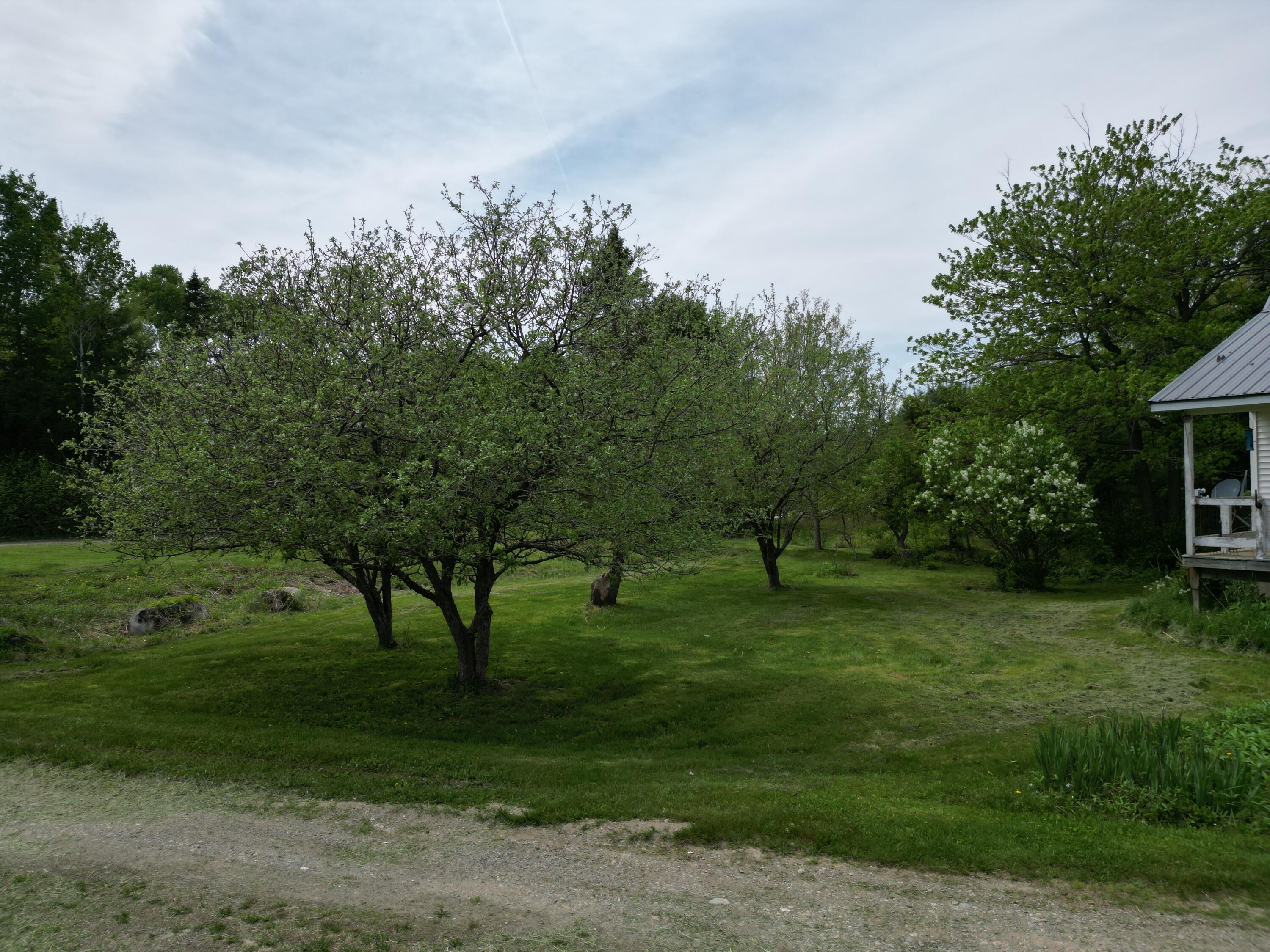 155 Butterfield Ridge Road Lincoln, ME 04457 - Photo 34 of 38 DJI_0198
