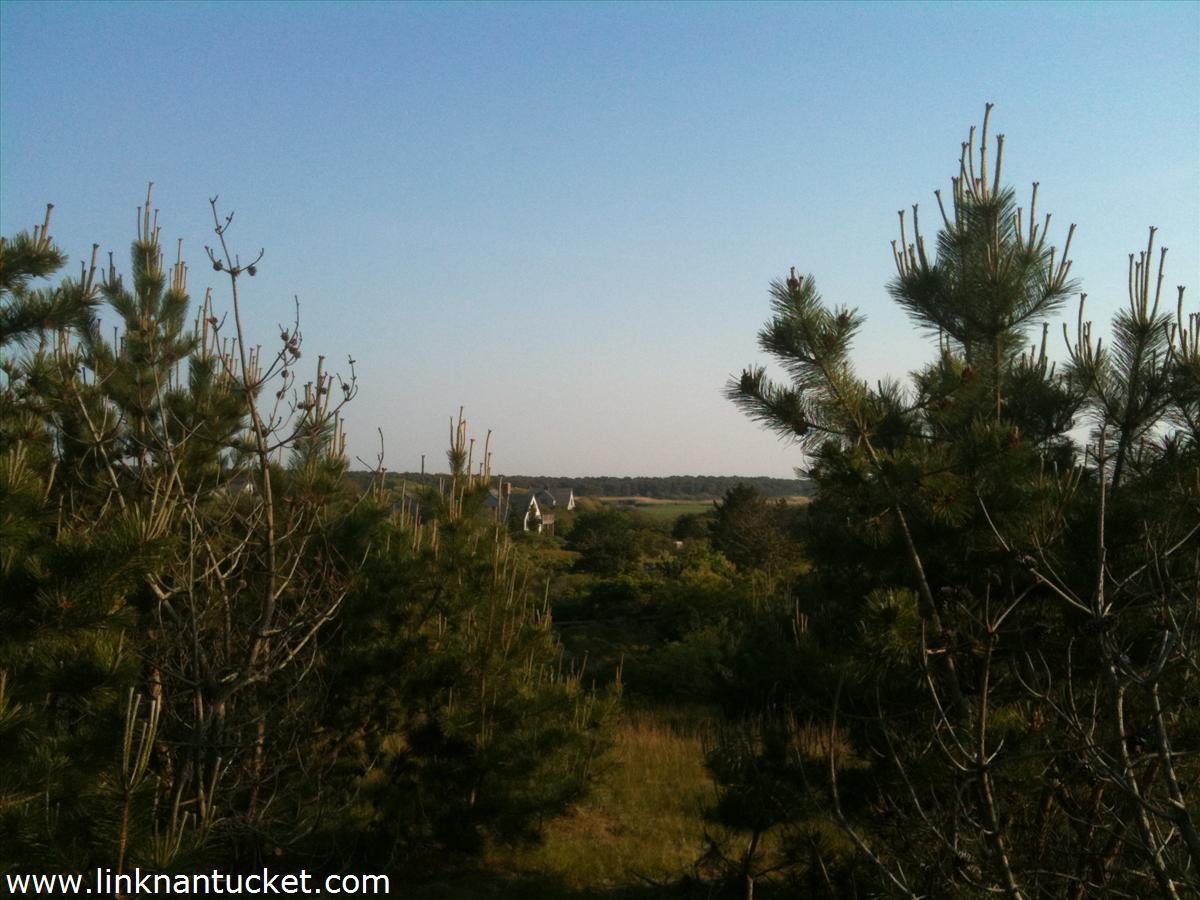 82 Millbrook Road Nantucket, MA 02554 - Photo 4 of 6 Gallery Image 4