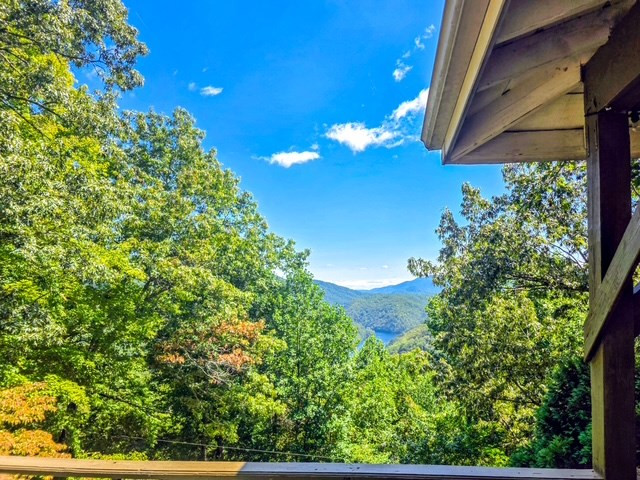 561 Deals Gap Road Robbinsville, NC 28771 - Photo 35 of 37