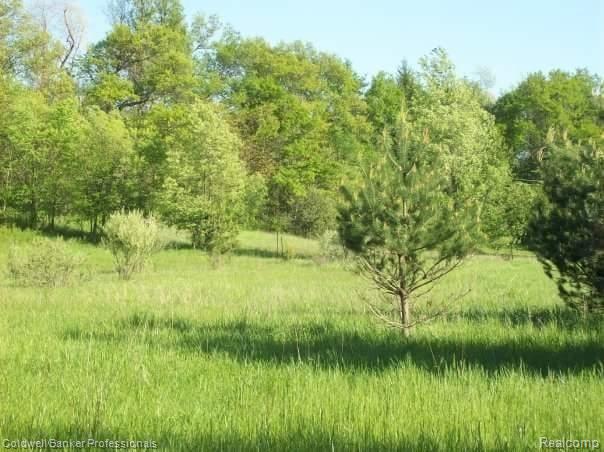 2730 Ray Road Oxford, MI 48370 - Photo 6 of 9
