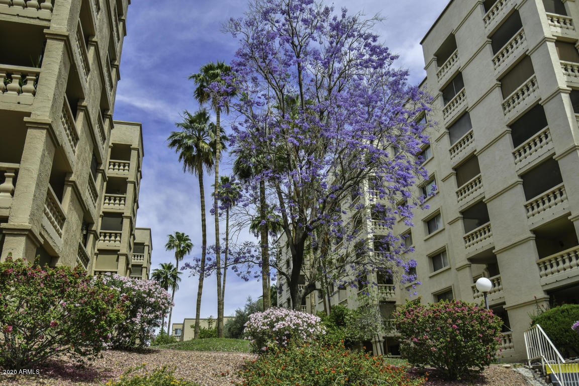 7950 East Camelback Road, Unit 203 Scottsdale, AZ 85251 - Photo 1 of 22 Condo23