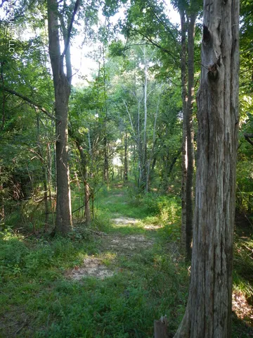 $249,500 | 330 Honeycutt Road, Yazoo City, MS 39194