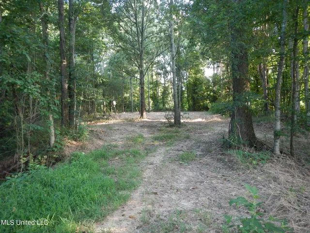 $249,500 | 330 Honeycutt Road, Yazoo City, MS 39194