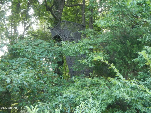 $249,500 | 330 Honeycutt Road, Yazoo City, MS 39194