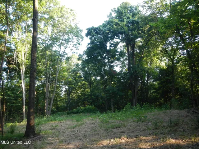 $249,500 | 330 Honeycutt Road, Yazoo City, MS 39194