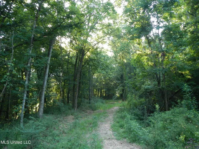 $249,500 | 330 Honeycutt Road, Yazoo City, MS 39194