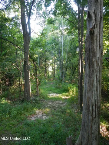 $249,500 | 330 Honeycutt Road, Yazoo City, MS 39194